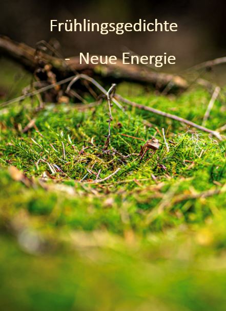 Gedankenfrei - Meditative Geschichten und Gedichte