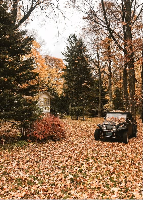 Zwei Tropfen im Meer - Roman über Seelenverwandtschaft durch Zeit und Raum